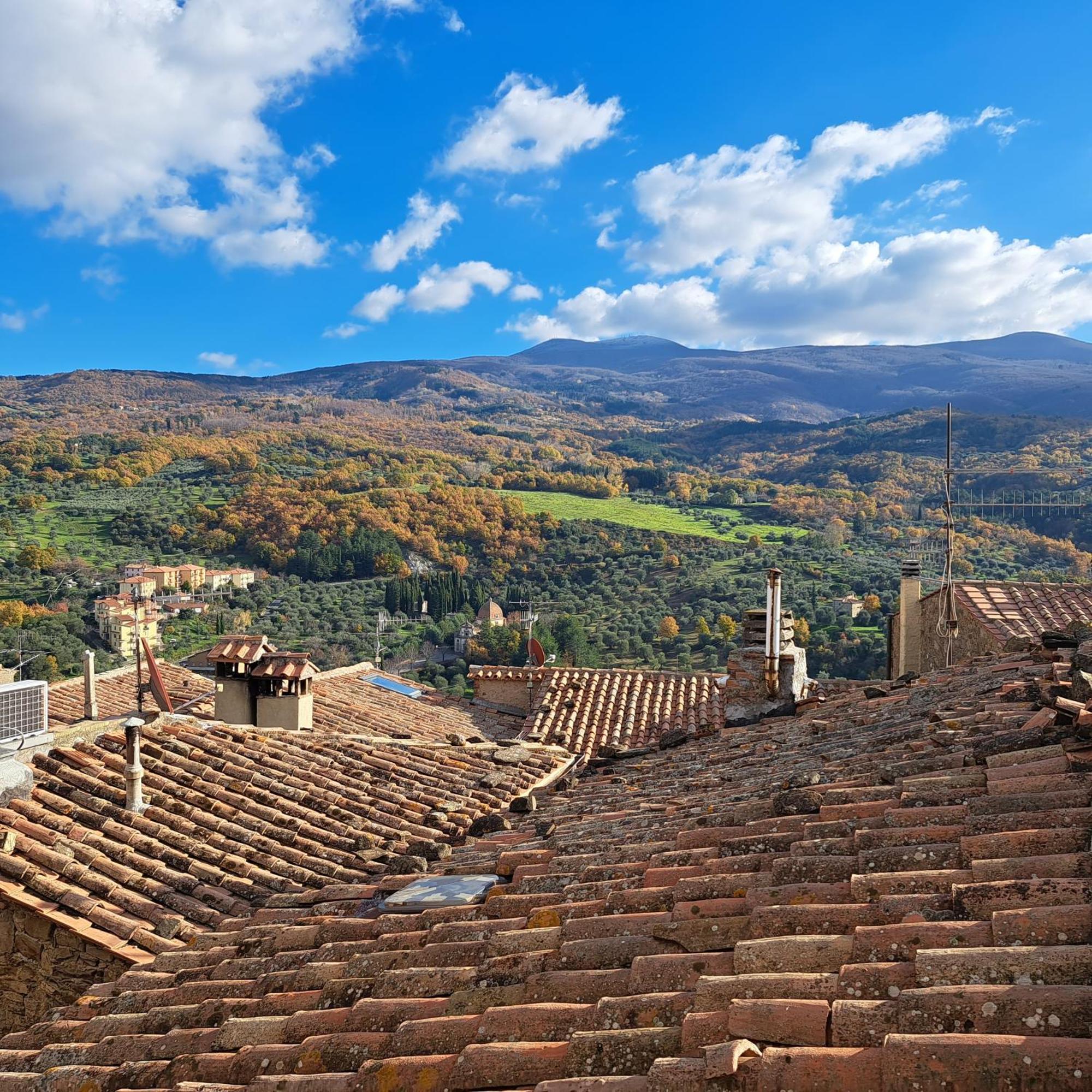 Antica Abitazione Con Vista Montagna Casa Norma Daire Seggiano Dış mekan fotoğraf