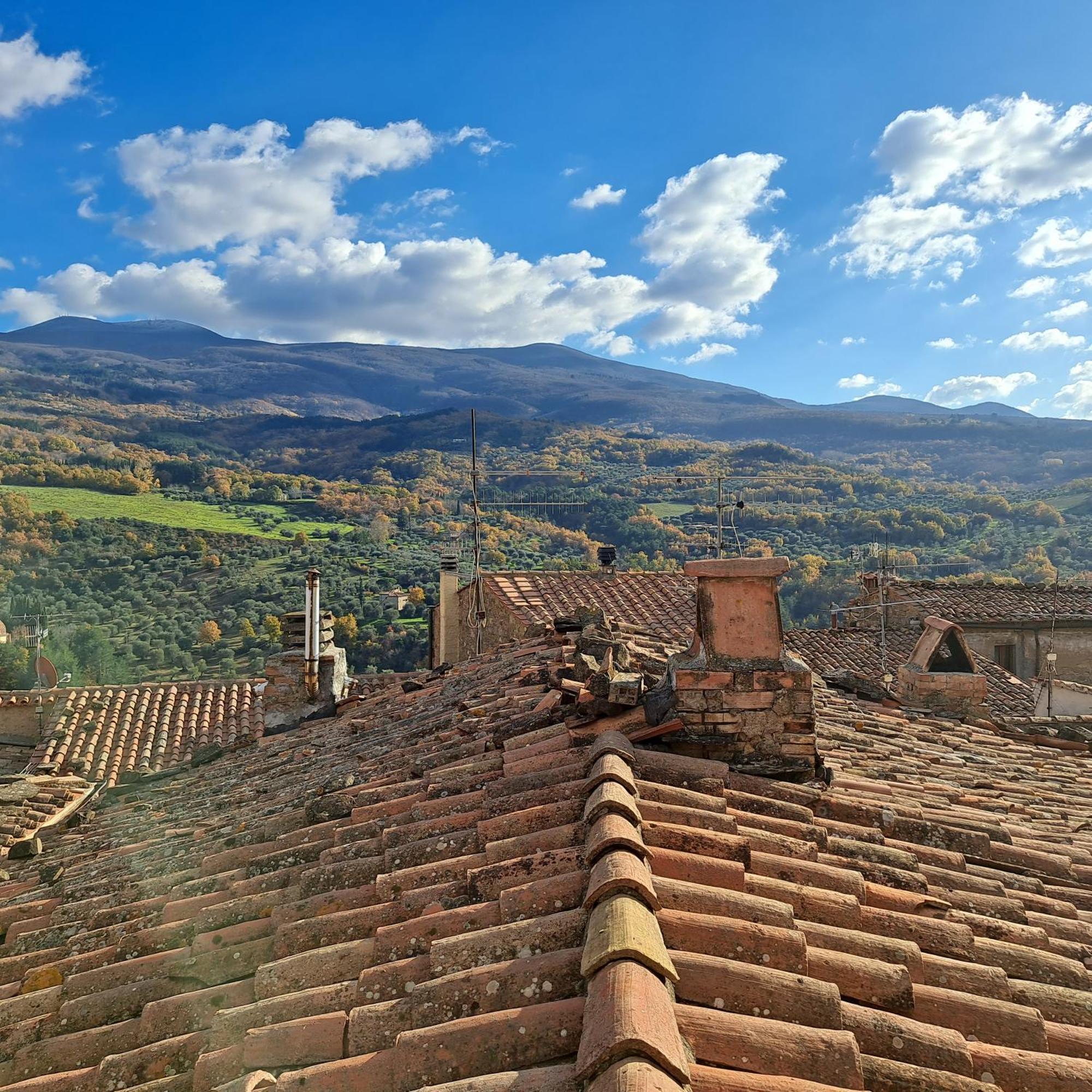 Antica Abitazione Con Vista Montagna Casa Norma Daire Seggiano Dış mekan fotoğraf